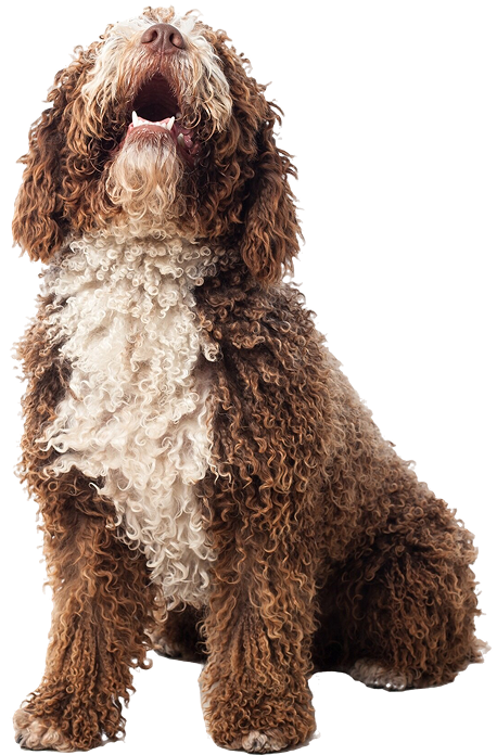 Controle diário simplificado